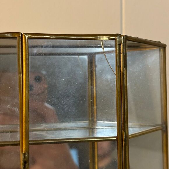 Brass Glass Cabinet Curio Miniature Display Case Tabletop VINTAGE8 3/4 ” - Picture 6 of 6